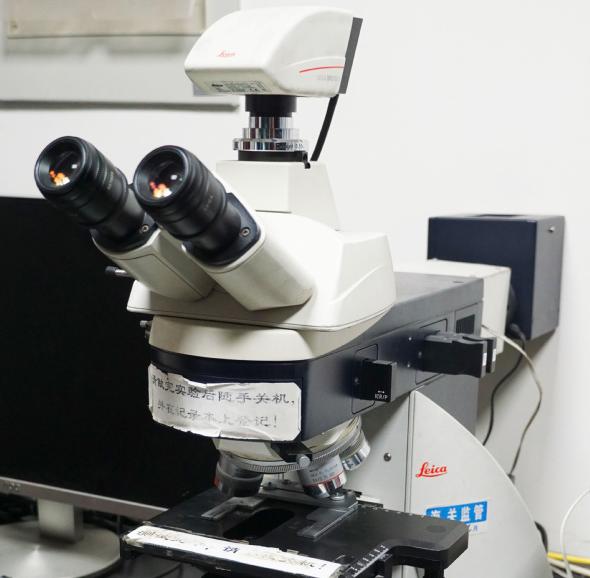 Leica fluorescence optical microscope