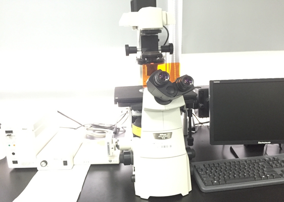 Inverted fluorescence microscope