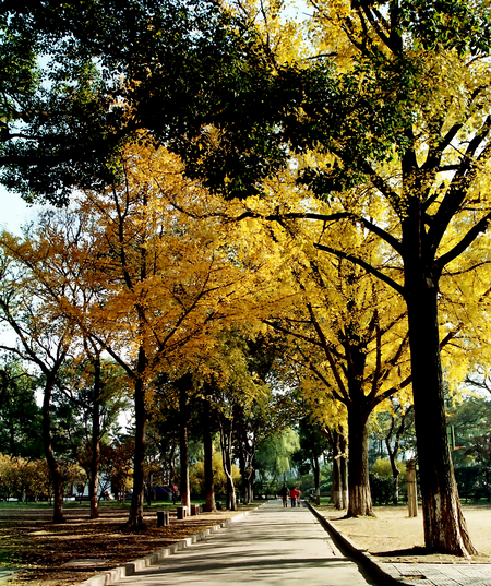 103.jpg