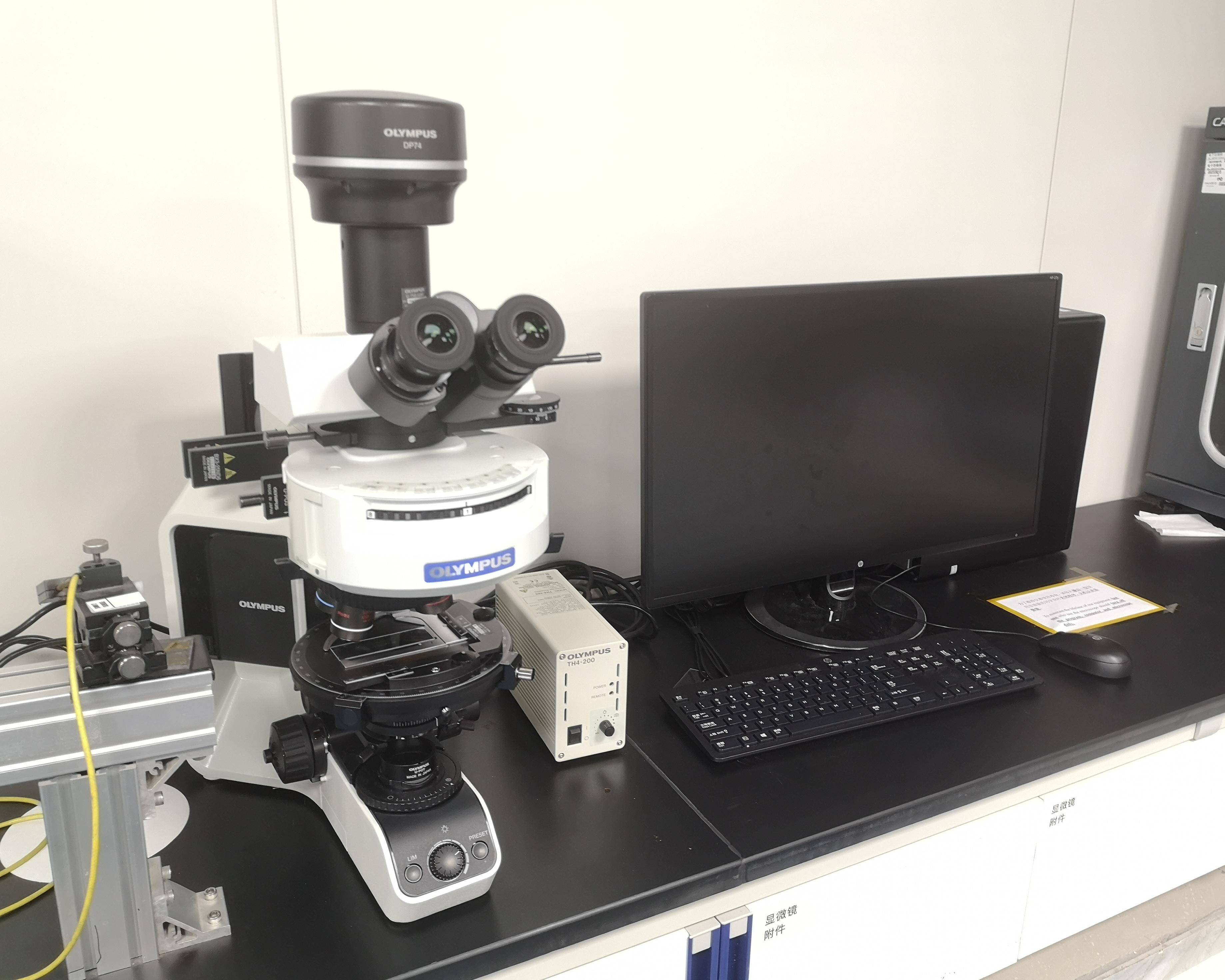 Upright Polarizing Microscope