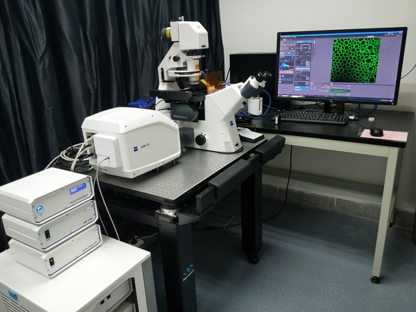 LSM 800 with Airyscan