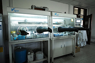Vigor glove box