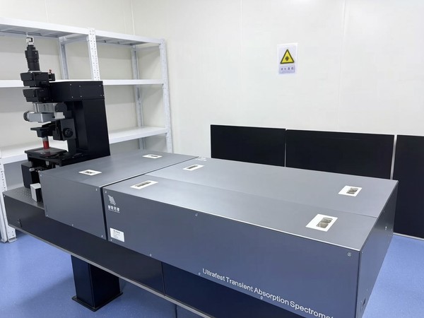Ultrafast Transient Absorption Microscopy Imaging System