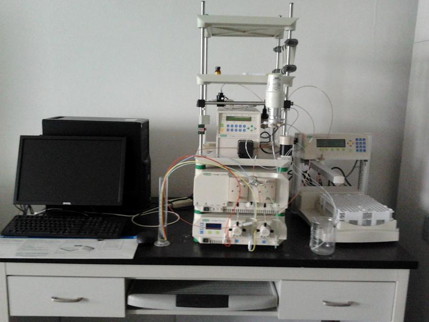 BioLogic DuoFlow Chromatography Systems