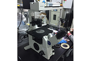 Olympus Optical Microscope